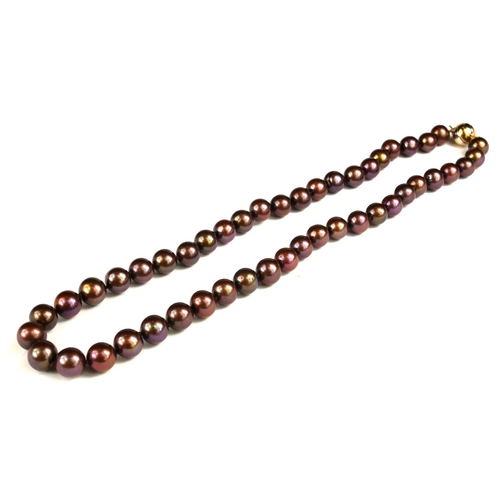 56 - A STRING OF PURPLE COLOURED FRESHWATER CULTURED PEARLS 
With a 9ct yellow and white gold ball clasp.