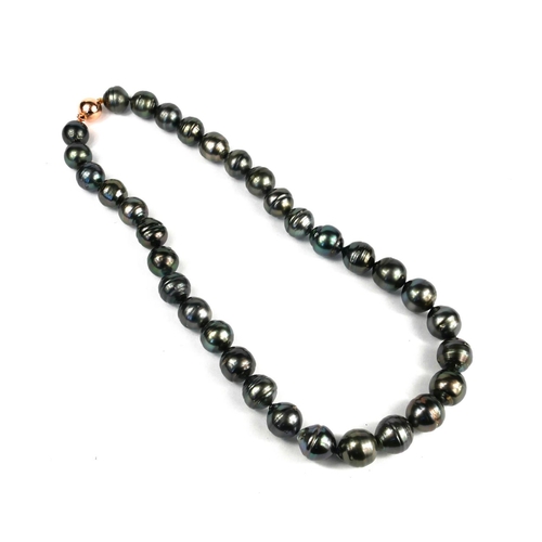 100A - A STRING OF BLACK/PURPLE TAHITIAN PEARLS on a 9ct rose gold ball clasp.  (Approx. 18