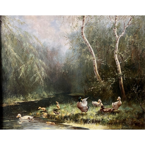 275 - HENDRIK BREEDVELD, DUTCH, 1918 - 1999, OIL ON CANVAS
Woodland river landscape with ducks, signed low... 