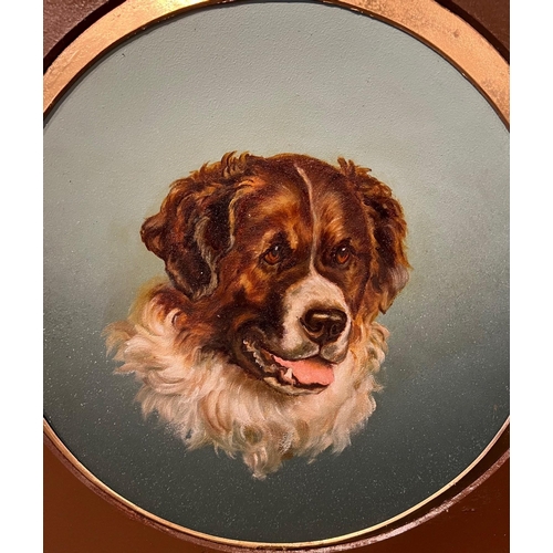 303 - A LATE 19TH/EARLY 20TH CENTURY CIRCULAR OIL ON METAL, PORTRAIT OF A SAINT BERNARD
Held in a painted ... 