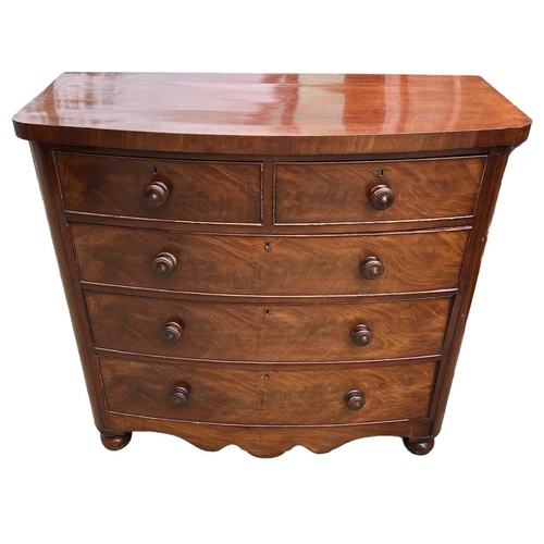 Lot 55        