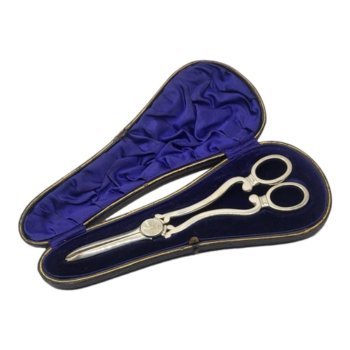 6 - WILLIAM HUTTON & SONS LTD, CASED PAIR OF EDWARDIAN SILVER GRAPE SCISSORS, HALLMARKED LONDON 1909. 
(... 