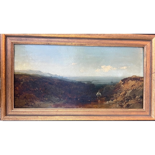 257 - EDMUND JOHN NIEMANN, 1813 - 1876, 19TH CENTURY OIL ON CANVAS
Coastal mountain landscape, with fisher... 