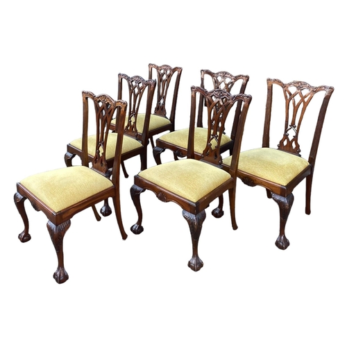 229 - A SET OF SIX GEORGE III DESIGN CARVED MAHOGANY DINING CHAIRSThe priced backs above drop in upholster... 