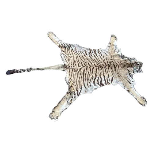 261 - VAN INGEN & VAN INGEN, MYSORE, INDIA, A TAXIDERMY ADULT BENGAL TIGER SKIN RUG Having flathead and li... 