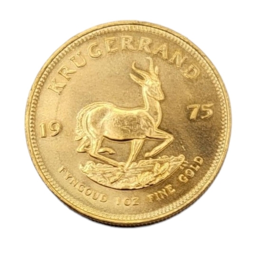 9 - SOUTH AFRICAN 1975 ONE OUNCE GOLD KRUGERRAND
Bust of Paul Kruger facing left, springbok walking righ... 