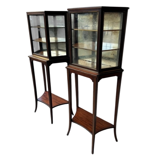 3 - A PAIR OF LATE 19TH CENTURY ENGLISH MAHOGANY AND GILT METAL MOUNTED GLAZED DISPLAY CABINET ON STANDS... 