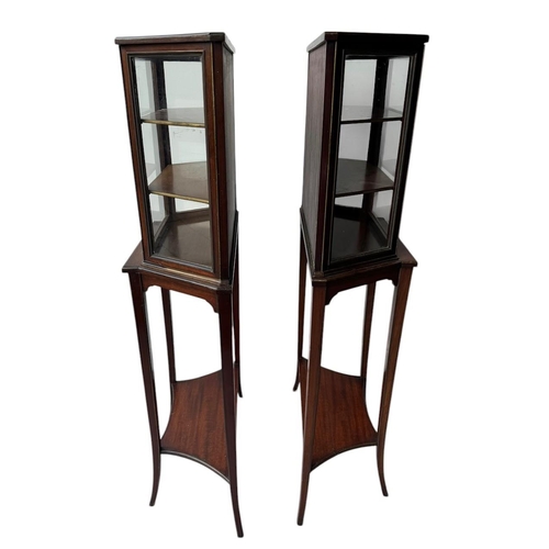 3 - A PAIR OF LATE 19TH CENTURY ENGLISH MAHOGANY AND GILT METAL MOUNTED GLAZED DISPLAY CABINET ON STANDS... 