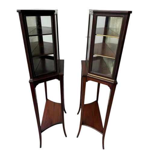 3 - A PAIR OF LATE 19TH CENTURY ENGLISH MAHOGANY AND GILT METAL MOUNTED GLAZED DISPLAY CABINET ON STANDS... 