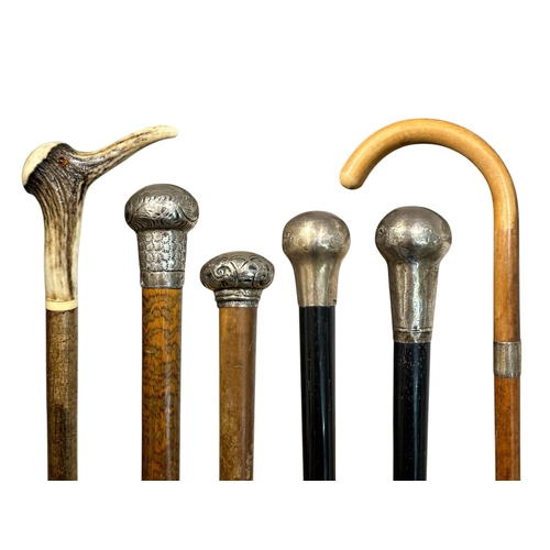 74 - A COLLECTION OF SIX 19TH/20TH CENTURY WALKING STICKS
To include examples from Charles Cooke for Thom... 