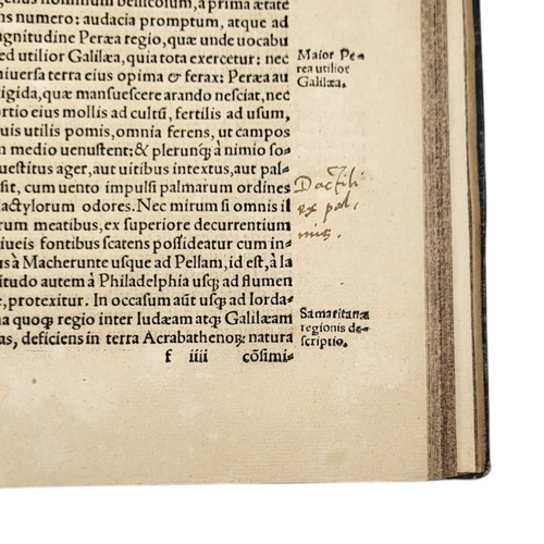 13 - Hegesippus, (Flavius, Josephus)
Egesippi historiographi inter scriptores ecclesiasticos vetustissimi... 