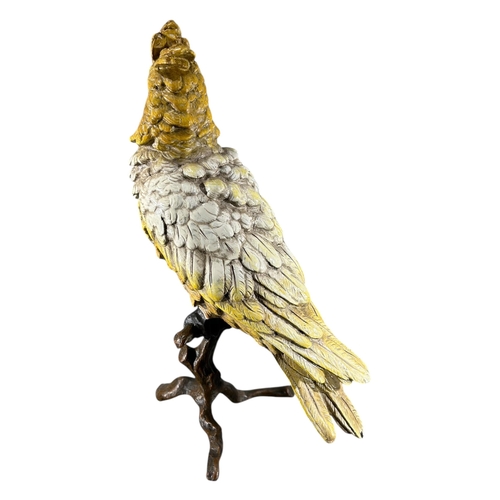 426 - FRANZ BERGMAN, AUSTRIAN, 1861 - 1936, AN EARLY 20TH CENTURY COLD PAINTED BRONZE COCKATOO PARROT 
Yel... 