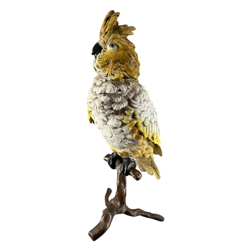 426 - FRANZ BERGMAN, AUSTRIAN, 1861 - 1936, AN EARLY 20TH CENTURY COLD PAINTED BRONZE COCKATOO PARROT 
Yel... 