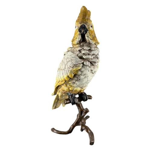 426 - FRANZ BERGMAN, AUSTRIAN, 1861 - 1936, AN EARLY 20TH CENTURY COLD PAINTED BRONZE COCKATOO PARROT 
Yel... 