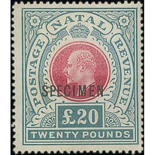 Lot 1310      