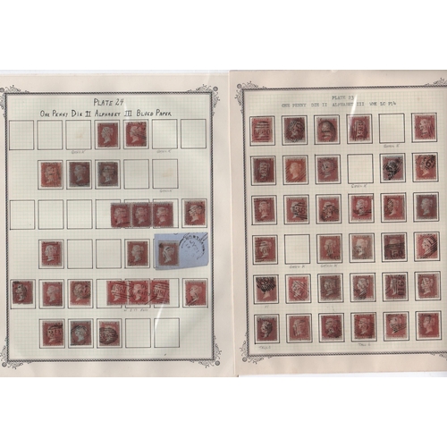 Lot 261       