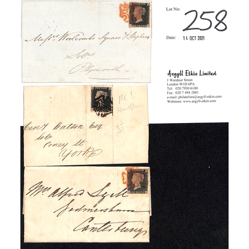 Lot 258       