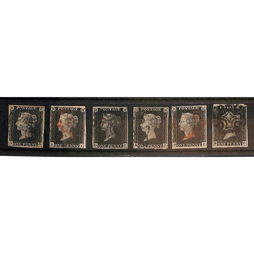 Lot 243       