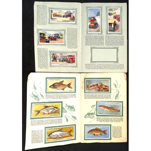 41 - Cigarette Cards. A large quantity in several albums and loose including Players, Wills, Churchmans, ... 
