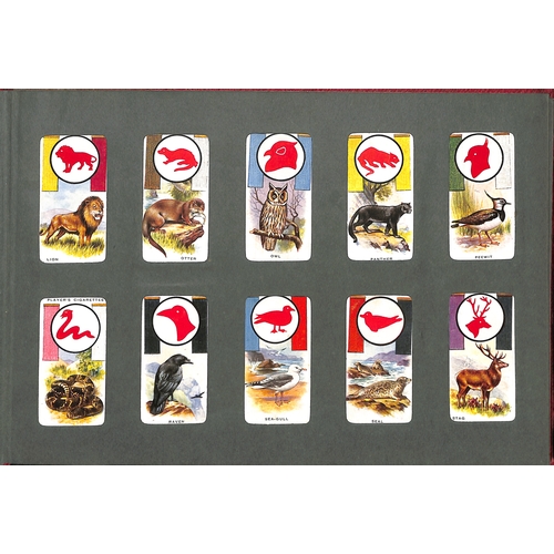 41 - Cigarette Cards. A large quantity in several albums and loose including Players, Wills, Churchmans, ... 