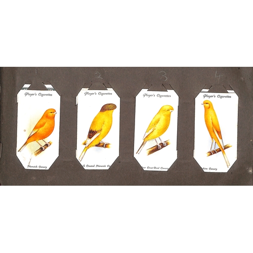 41 - Cigarette Cards. A large quantity in several albums and loose including Players, Wills, Churchmans, ... 