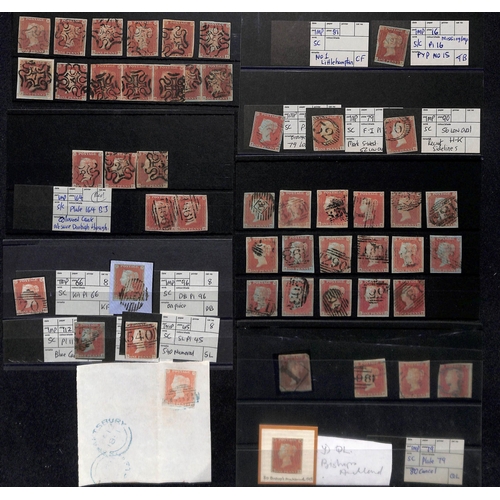 21 - 1841-52 Imperforate 1d reds, the used selection on stockcards, virtually all four margins, the major... 