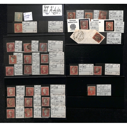 21 - 1841-52 Imperforate 1d reds, the used selection on stockcards, virtually all four margins, the major... 