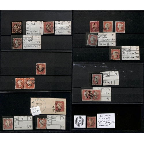 21 - 1841-52 Imperforate 1d reds, the used selection on stockcards, virtually all four margins, the major... 