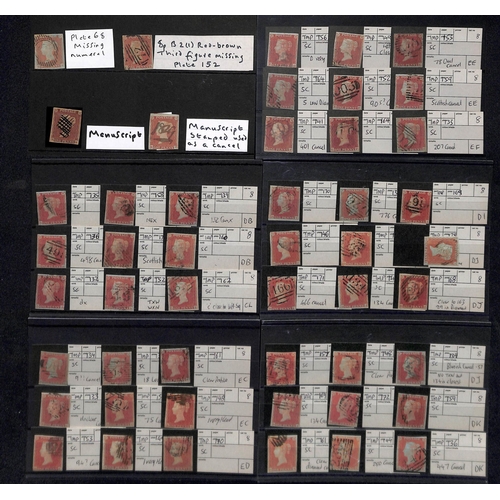 21 - 1841-52 Imperforate 1d reds, the used selection on stockcards, virtually all four margins, the major... 