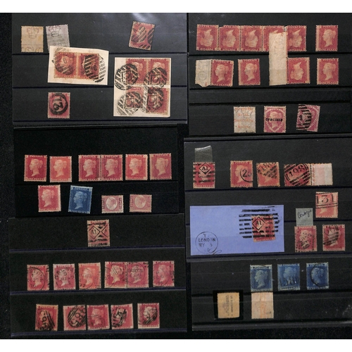 31 - 1854-61 1d Reds, the mainly used accumulation on stockcards and pages, most identified and plated wi... 