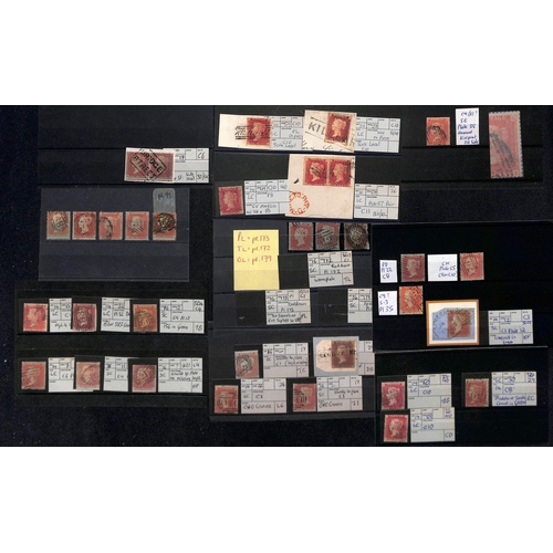 31 - 1854-61 1d Reds, the mainly used accumulation on stockcards and pages, most identified and plated wi... 