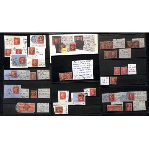 31 - 1854-61 1d Reds, the mainly used accumulation on stockcards and pages, most identified and plated wi... 