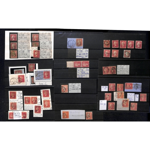 31 - 1854-61 1d Reds, the mainly used accumulation on stockcards and pages, most identified and plated wi... 