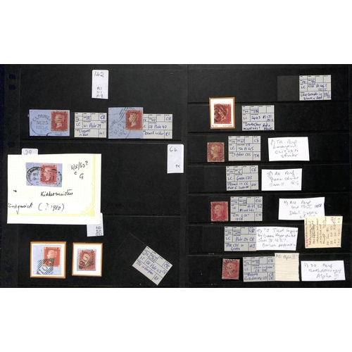 31 - 1854-61 1d Reds, the mainly used accumulation on stockcards and pages, most identified and plated wi... 