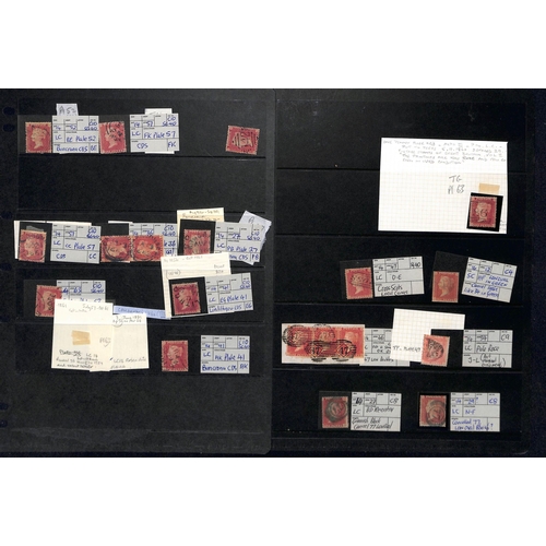 31 - 1854-61 1d Reds, the mainly used accumulation on stockcards and pages, most identified and plated wi... 