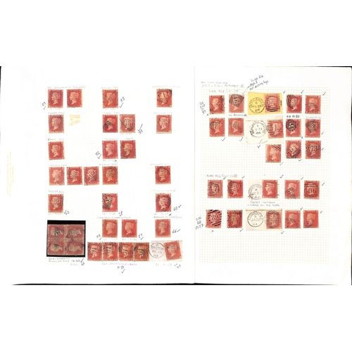 31 - 1854-61 1d Reds, the mainly used accumulation on stockcards and pages, most identified and plated wi... 