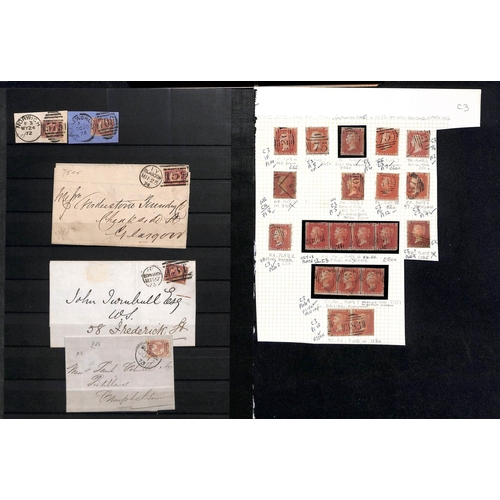 31 - 1854-61 1d Reds, the mainly used accumulation on stockcards and pages, most identified and plated wi... 