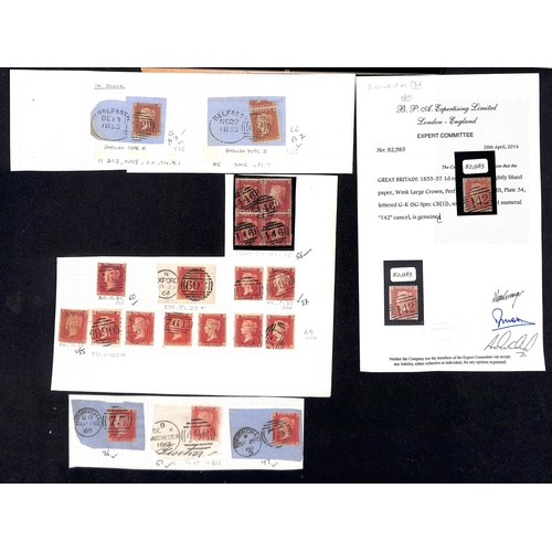 31 - 1854-61 1d Reds, the mainly used accumulation on stockcards and pages, most identified and plated wi... 