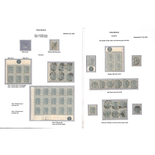 1081 - 1884-91 Crown CA set, display collection written up on 16 pages with many mint blocks and multiples ... 