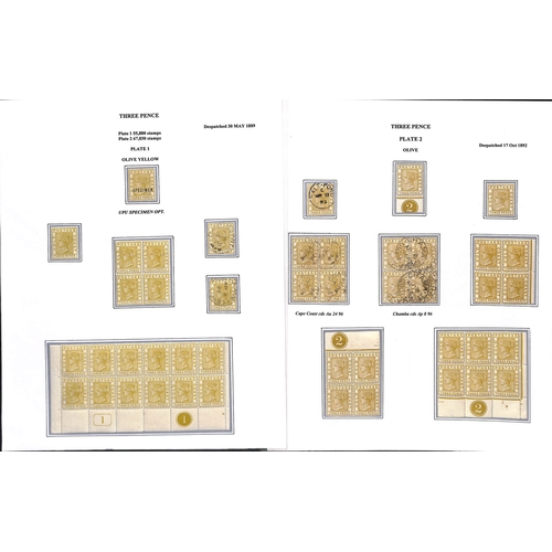 1081 - 1884-91 Crown CA set, display collection written up on 16 pages with many mint blocks and multiples ... 