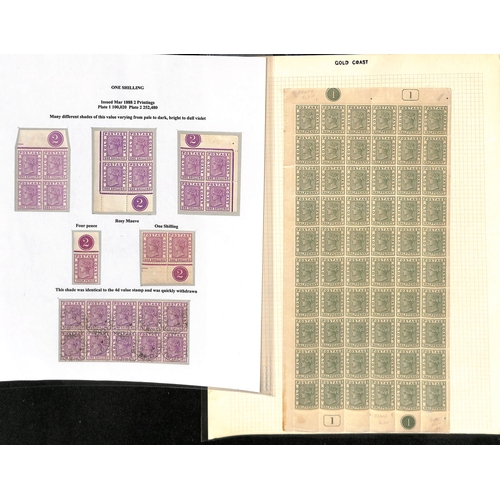 1081 - 1884-91 Crown CA set, display collection written up on 16 pages with many mint blocks and multiples ... 