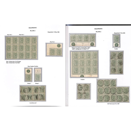 1081 - 1884-91 Crown CA set, display collection written up on 16 pages with many mint blocks and multiples ... 