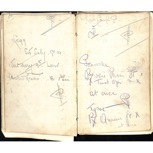 1413 - 1902 (Mar. - May) Diary kept by Pte H. Dyson, working blockhouse duty near Nylstrom, 34 pages descri... 