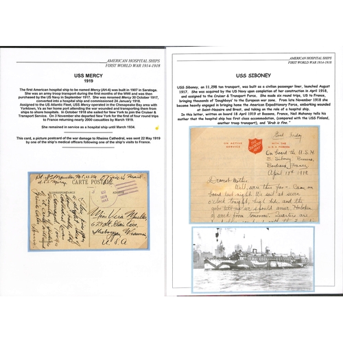 204 - 1917-19 Covers and cards comprising U.S.S 