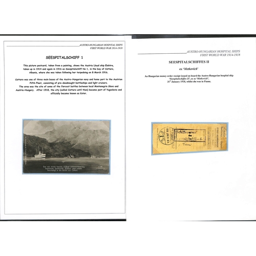 207 - Hospital Ships I - IV. 1916-18 Covers and cards comprising 