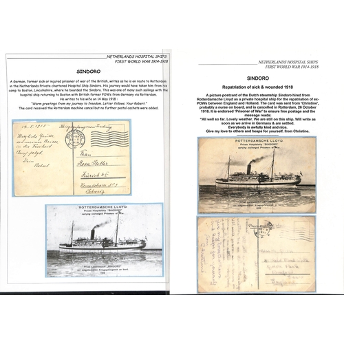 219 - 1918 Picture postcards of the private hospital ships 