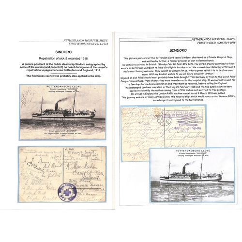 219 - 1918 Picture postcards of the private hospital ships 