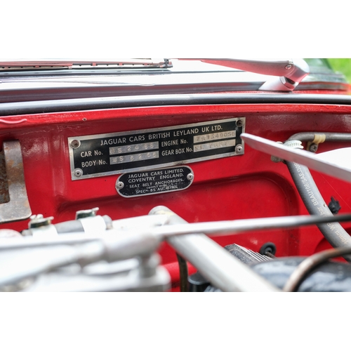 416 - 1975 Jaguar E-Type Series III V12 Roadster     Registration Number: GTC 888NChassis Number: 1 S 2488... 