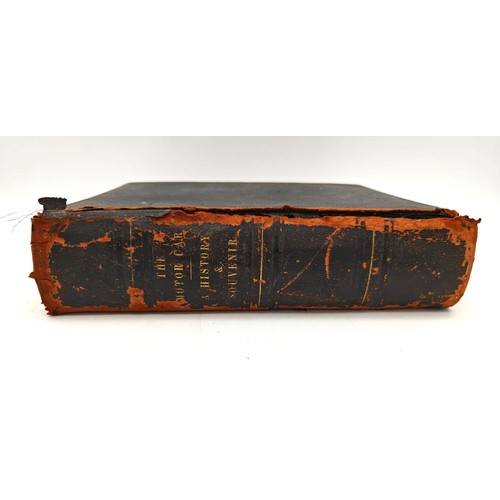 Lot 29        