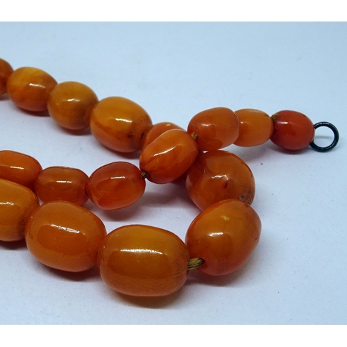 393 - A string of butterscotch amber coloured beads.  490mm total length / central bead approximately 12 x... 